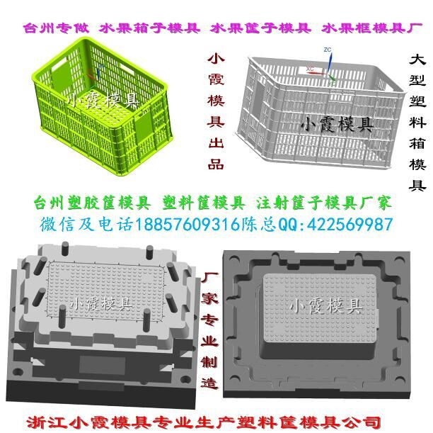 塑膠模 火龍果藍(lán)模具