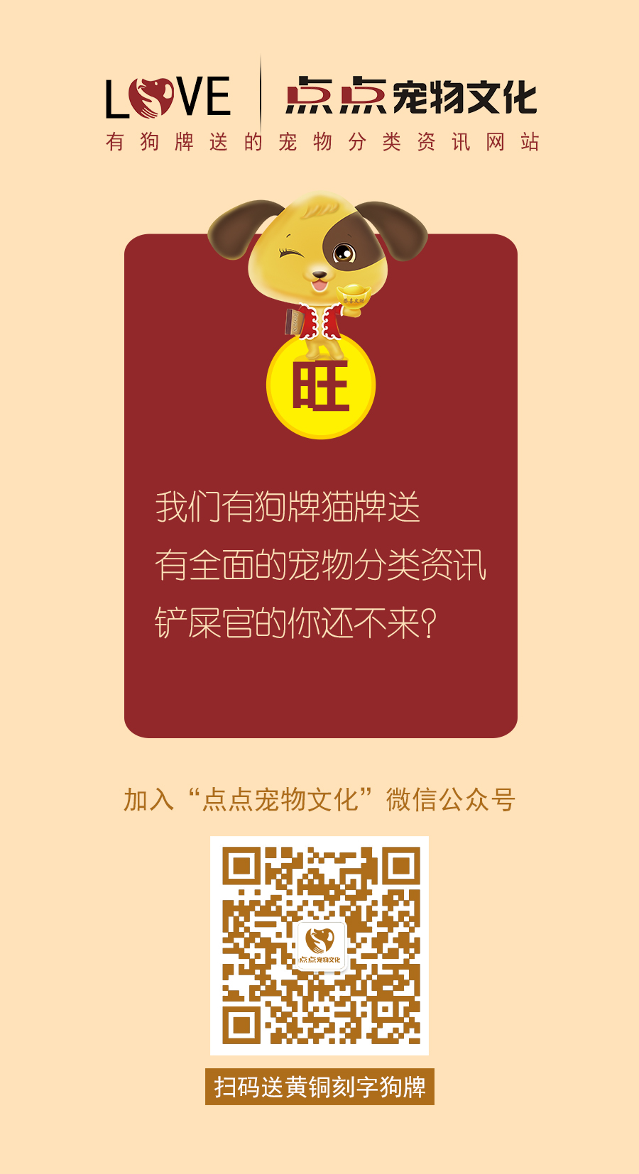 點點寵物文化———有狗牌送的寵物圖片/點點寵物文化———有狗牌送的寵物樣板圖 (2)
