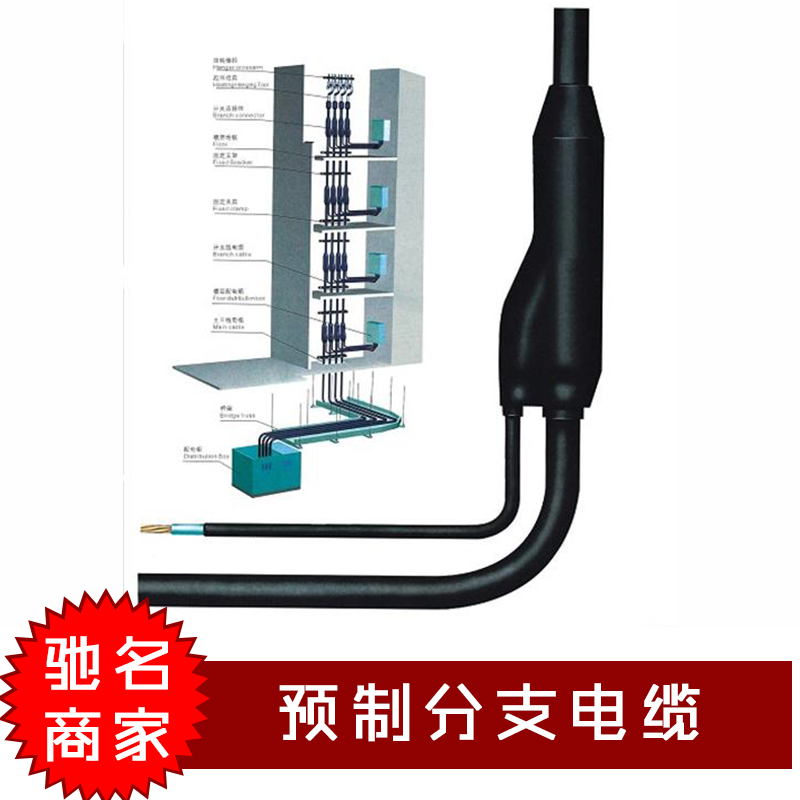 預(yù)制分支電纜圖片/預(yù)制分支電纜樣板圖 (2)