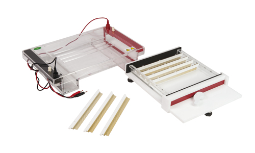 垂直電泳槽圖片/垂直電泳槽樣板圖 (1)