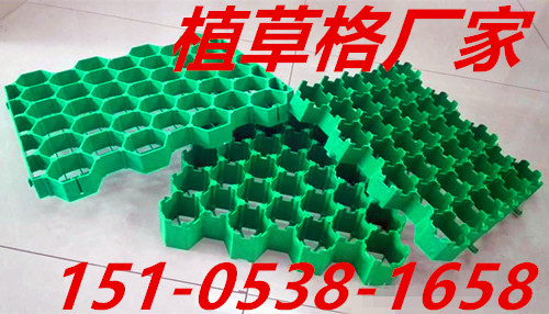 山西植草格，塑料植草格，綠化植草格歡迎訂購