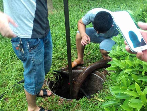 东莞专业清理化粪池,工业污水泥浆管道疏通高压清洗图片