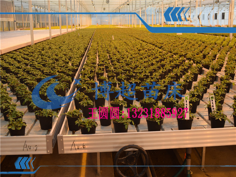 溫室苗床價格- 溫室苗床價格-潮汐苗床- 溫室苗床價格-潮汐苗床-溫室苗床