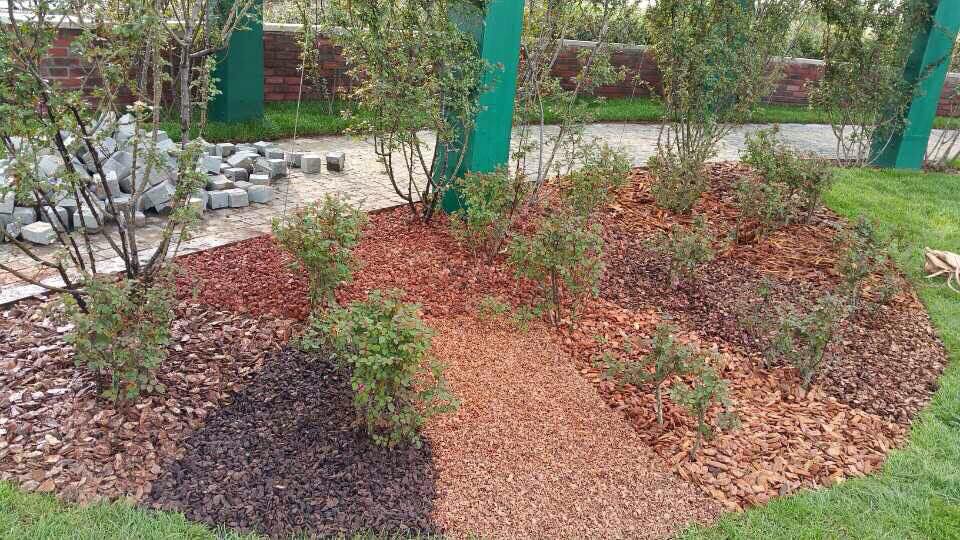 填料松樹皮圖片/填料松樹皮樣板圖 (4)