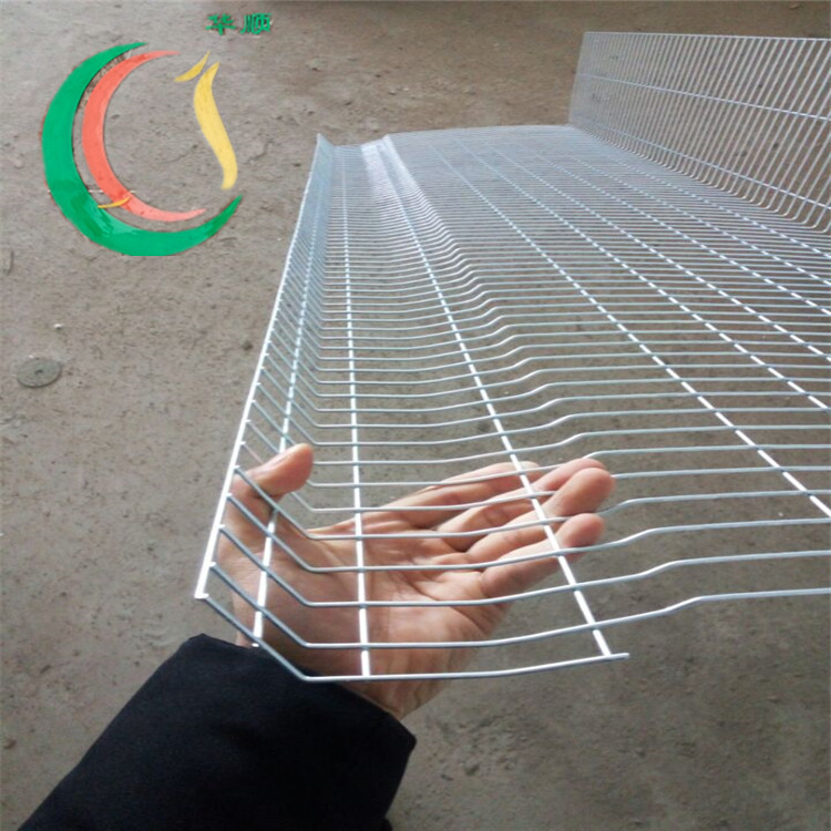 階梯蛋雞籠圖片/階梯蛋雞籠樣板圖 (3)