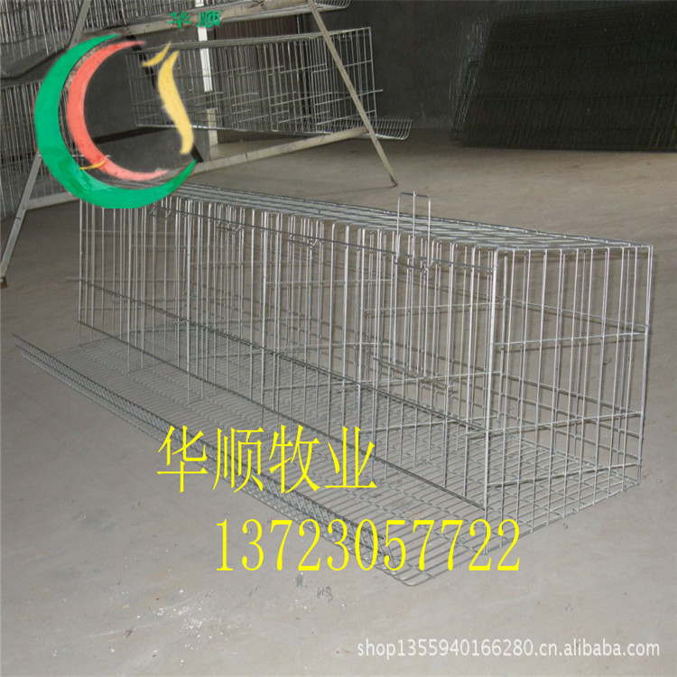 階梯蛋雞籠圖片/階梯蛋雞籠樣板圖 (4)