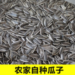 花生圖片/花生樣板圖 (3)