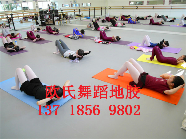 舞蹈房地板圖片/舞蹈房地板樣板圖 (2)