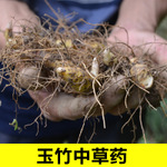 中藥材銷售