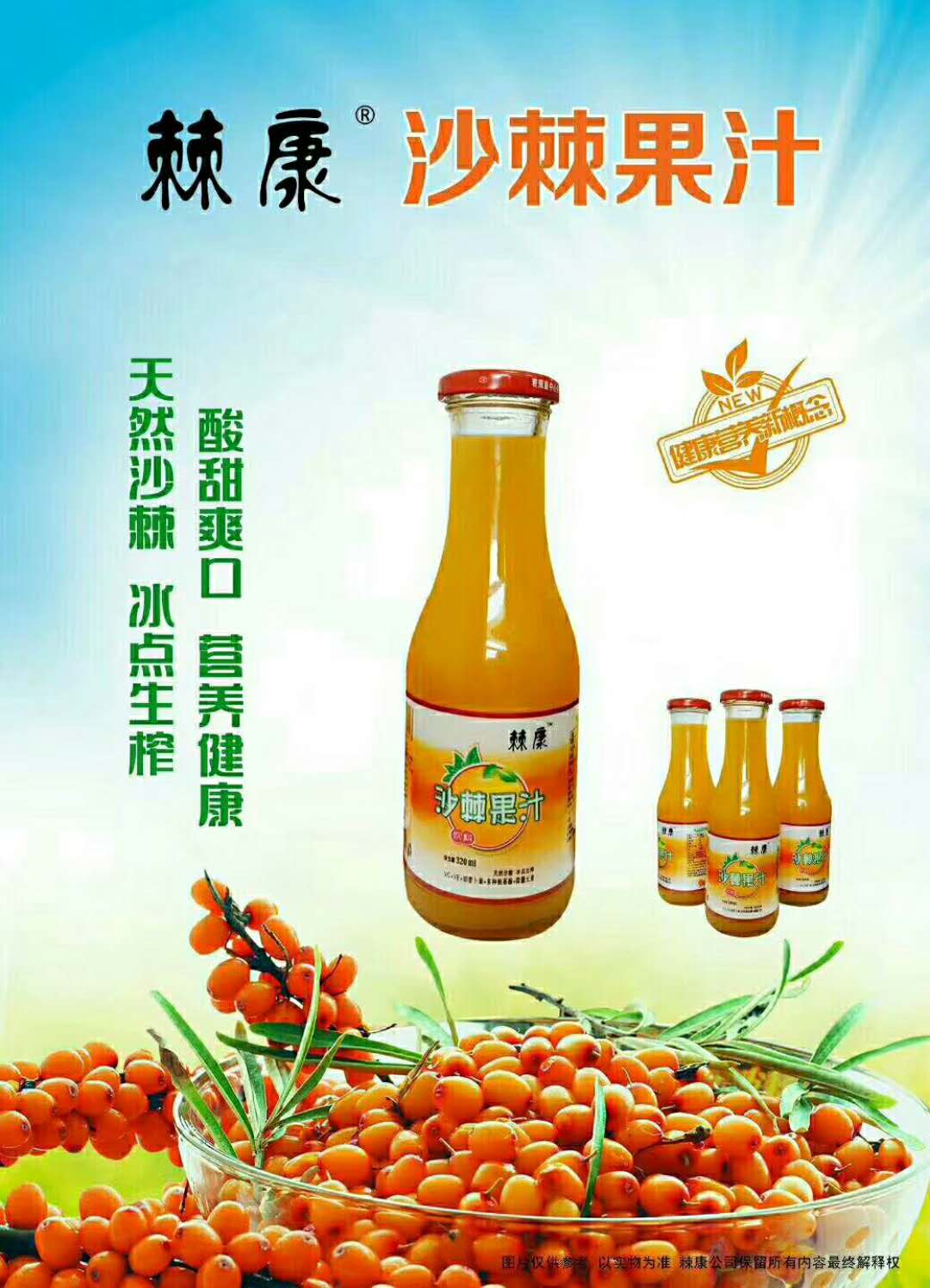 沙棘圖片/沙棘樣板圖 (4)