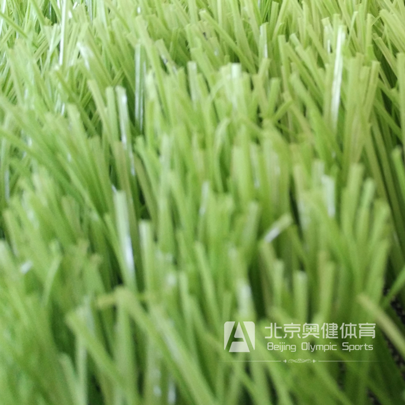 奧茵草坪人工皮草人造足球場(chǎng)幼兒園圖片/奧茵草坪人工皮草人造足球場(chǎng)幼兒園樣板圖 (2)