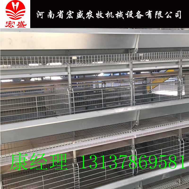 蛋雞籠圖片/蛋雞籠樣板圖 (2)