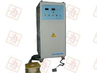 PFD-2000型恒壓快速充磁機(jī)圖片