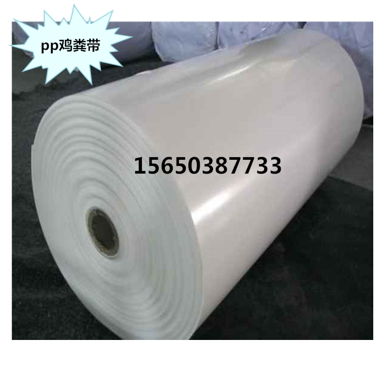 雞屎傳送帶價格 雞糞傳送帶多少錢圖片