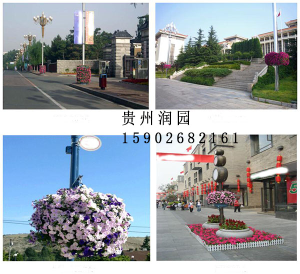 貴陽人行天橋綠化、護(hù)欄綠化和燈桿綠化設(shè)計(jì)及施工方面的區(qū)別