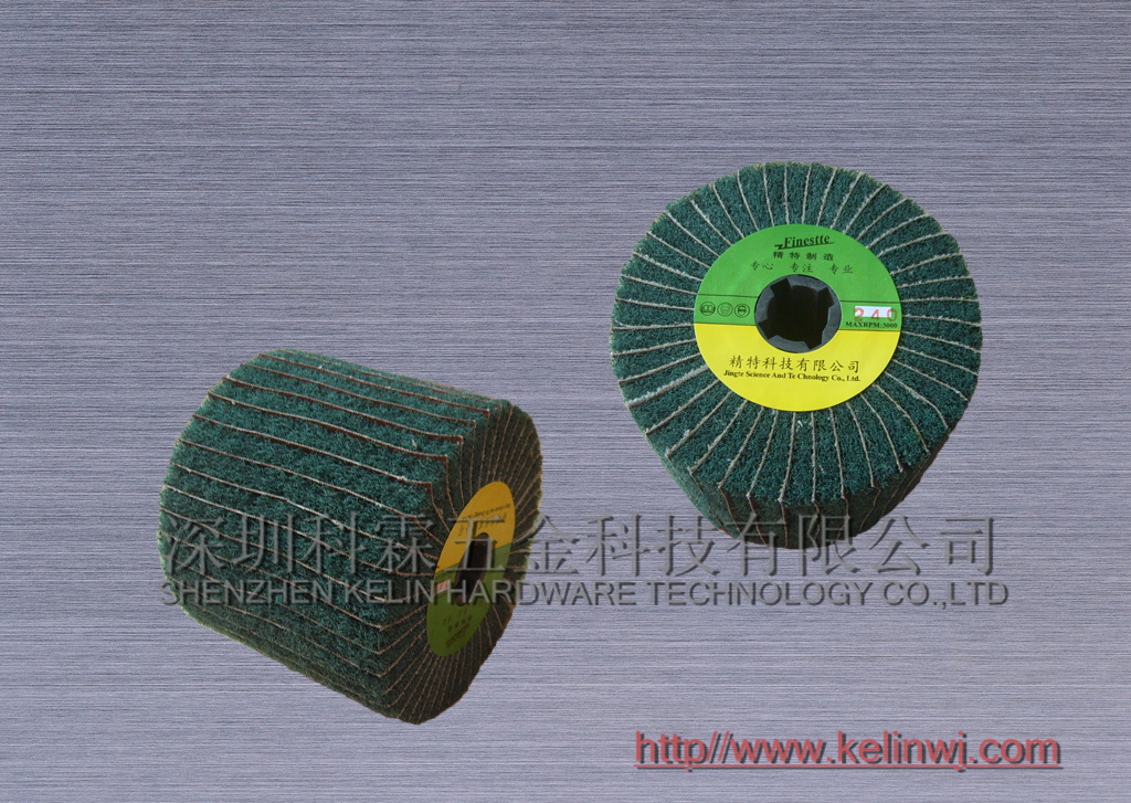 百潔布拉絲輪圖片/百潔布拉絲輪樣板圖 (2)