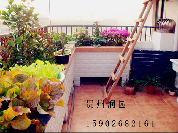 護欄綠化圖片/護欄綠化樣板圖 (3)