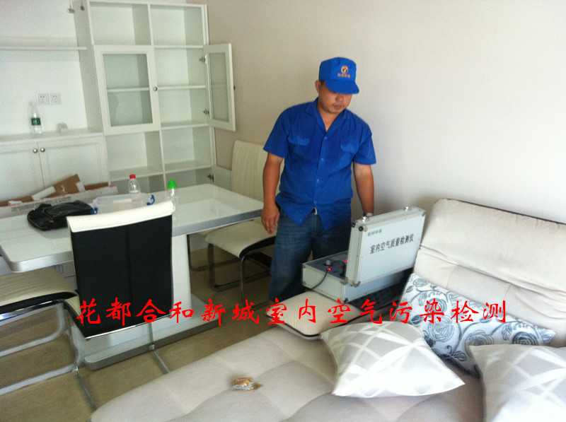 甲醛污染治理圖片/甲醛污染治理樣板圖 (4)