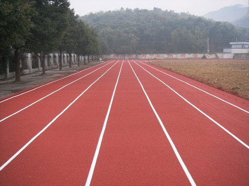 塑膠籃球場(chǎng)圖片/塑膠籃球場(chǎng)樣板圖 (3)