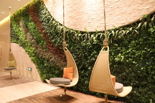 酒店餐廳植物墻圖片/酒店餐廳植物墻樣板圖 (1)