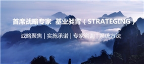 滿足客戶的戰(zhàn)略咨詢公司圖片
