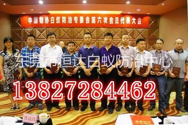 白蟻防治圖片/白蟻防治樣板圖 (2)