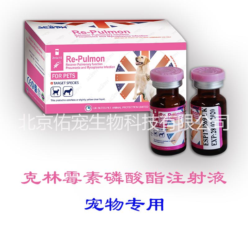 復(fù)方克林霉素磷酸酯注射液 肺舒康 寵物藥
