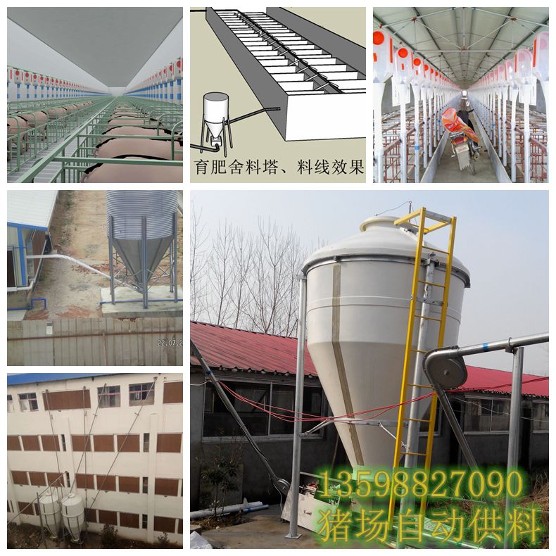 豬場供料設(shè)備/豬場供料線設(shè)備該如何選擇
