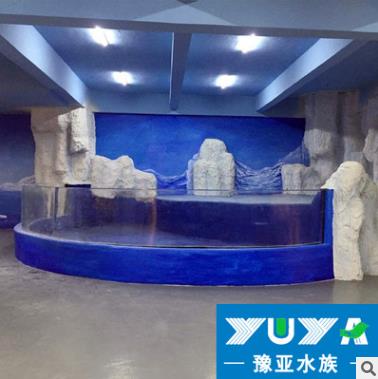 觀賞魚缸圖片/觀賞魚缸樣板圖 (3)