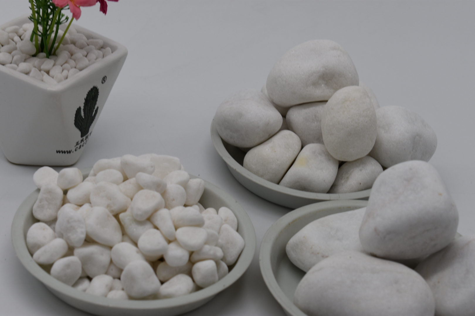 白機石雨花石多肉鋪面石 天然白石子白機石