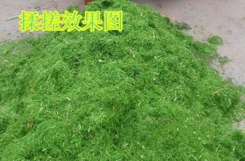 秸稈揉搓機圖片/秸稈揉搓機樣板圖 (4)
