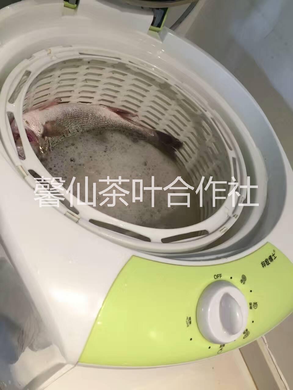 綠色食品圖片/綠色食品樣板圖 (4)