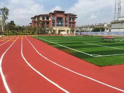 透氣型塑膠跑道圖片/透氣型塑膠跑道樣板圖 (3)