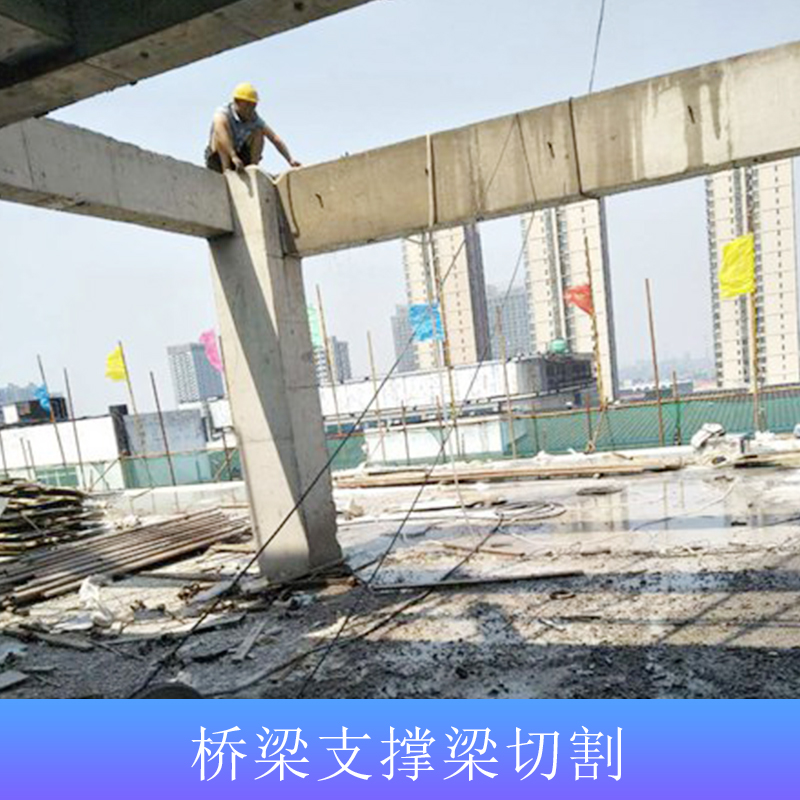 橋梁支撐圖片/橋梁支撐樣板圖 (2)