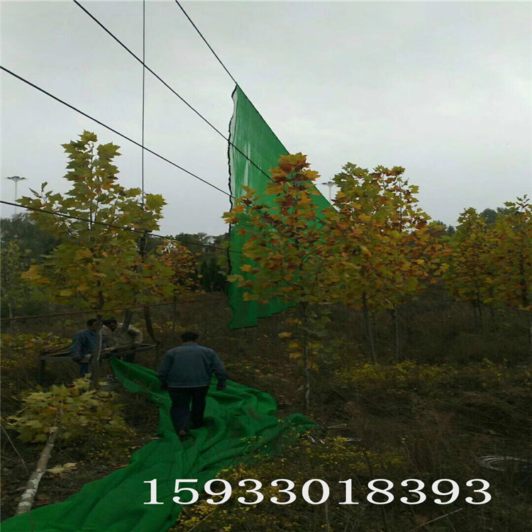 建筑防風(fēng)網(wǎng)圖片/建筑防風(fēng)網(wǎng)樣板圖 (1)