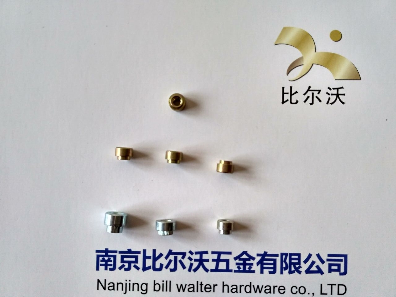 不銹鋼漲鉚螺母圖片/不銹鋼漲鉚螺母樣板圖 (2)