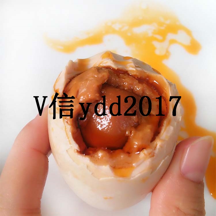 海鴨蛋圖片/海鴨蛋樣板圖 (2)