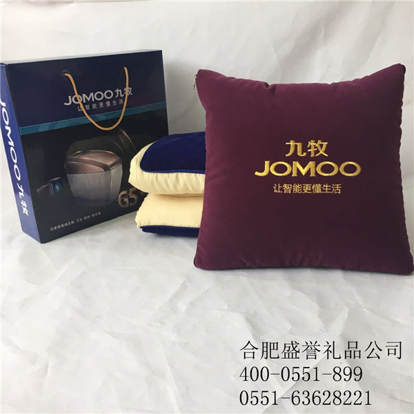 合肥抱枕定做圖片