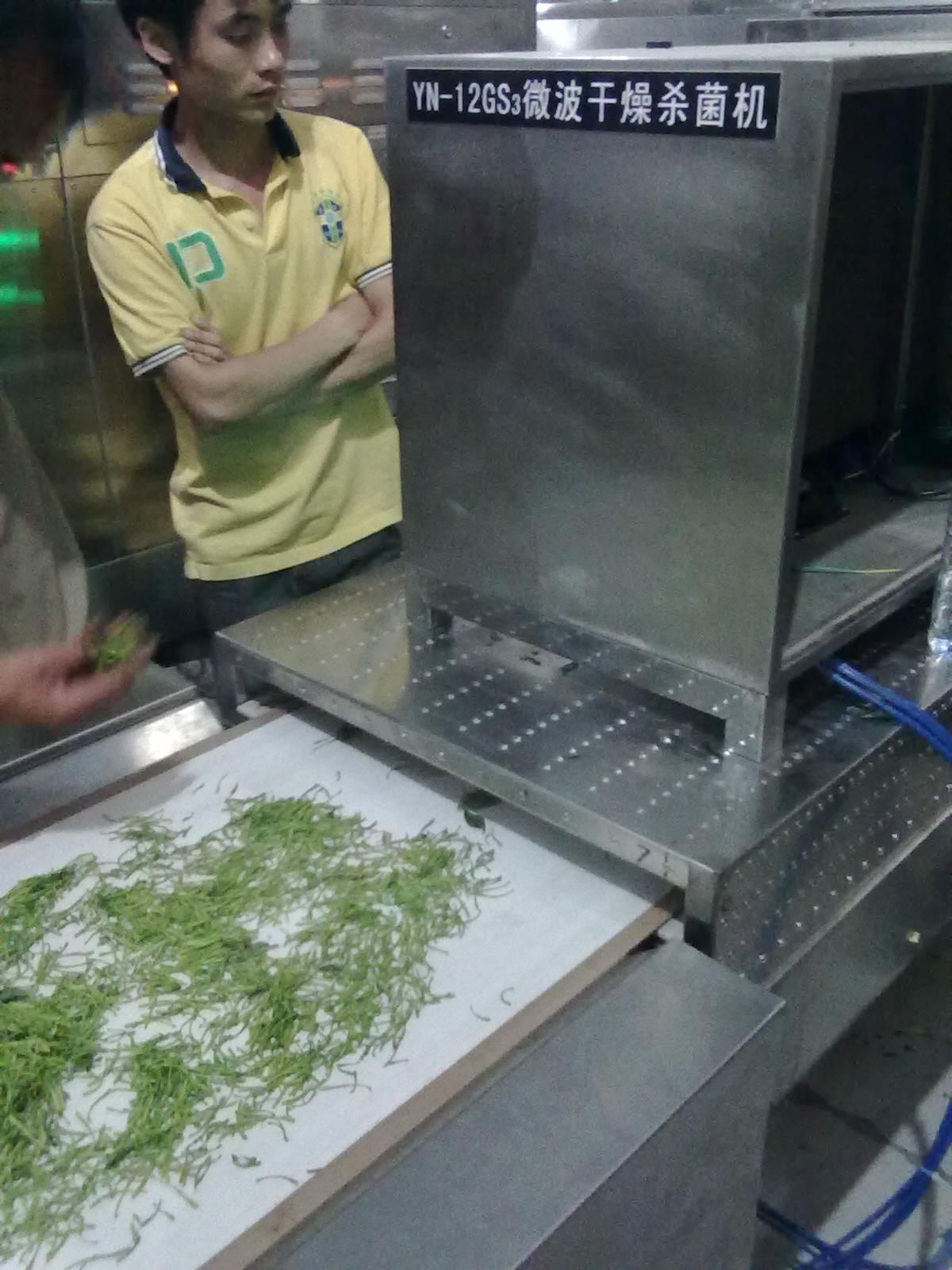 金銀花殺青烘干設(shè)備圖片/金銀花殺青烘干設(shè)備樣板圖 (2)