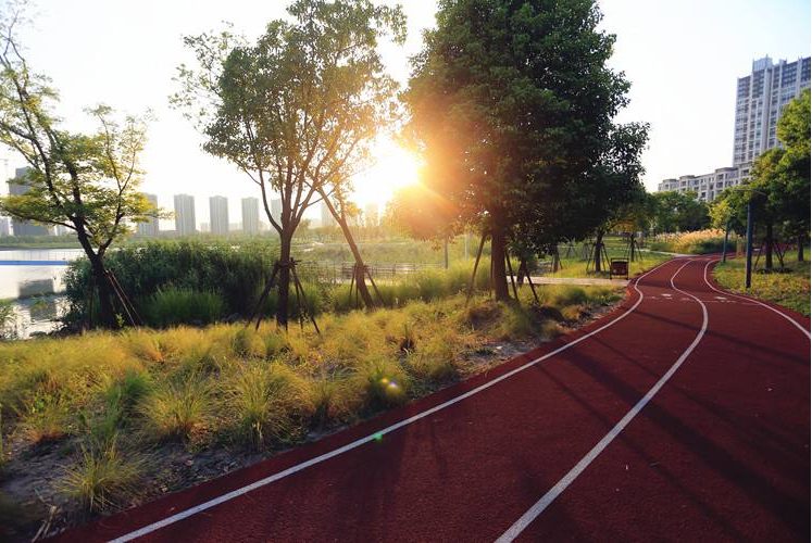 建設EPDM彈性地坪圖片/建設EPDM彈性地坪樣板圖 (1)