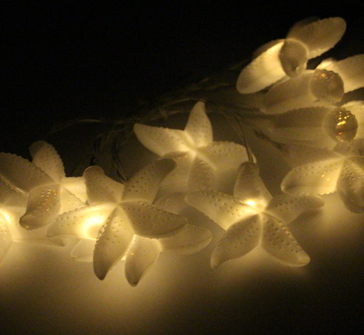 LED海星造型電池?zé)魩舸畡?chuàng)意圖片/LED海星造型電池?zé)魩舸畡?chuàng)意樣板圖 (2)