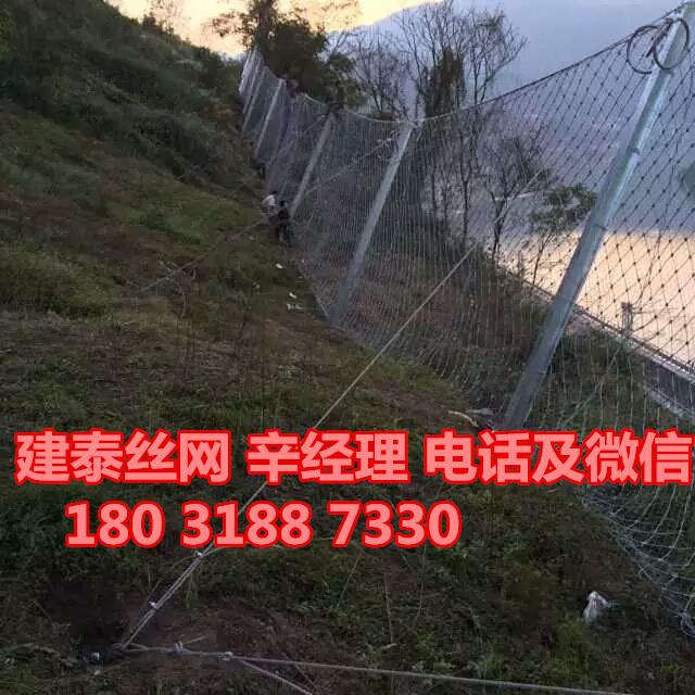 邊坡防護(hù)圖片/邊坡防護(hù)樣板圖 (2)