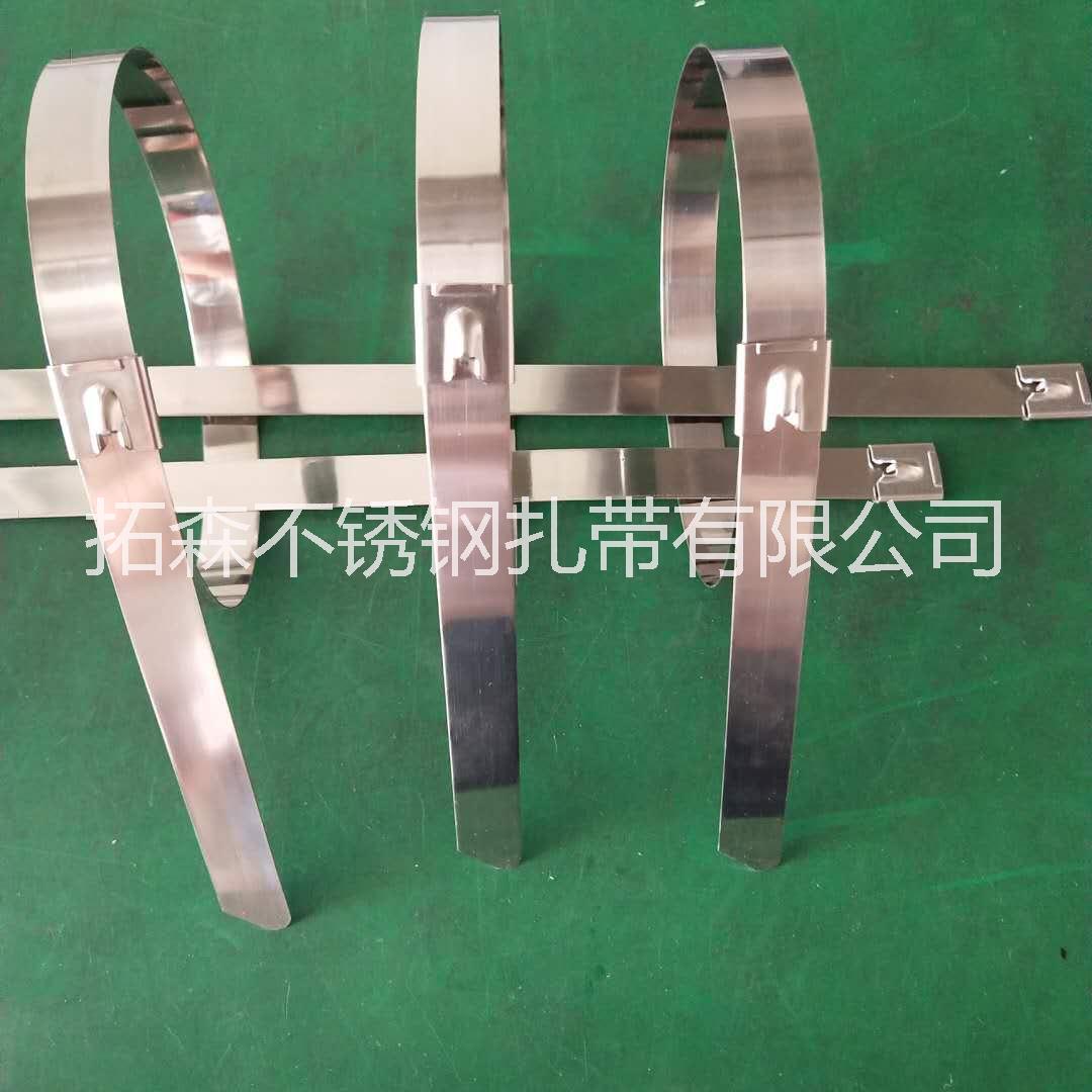 自鎖式不銹鋼扎帶圖片/自鎖式不銹鋼扎帶樣板圖 (2)