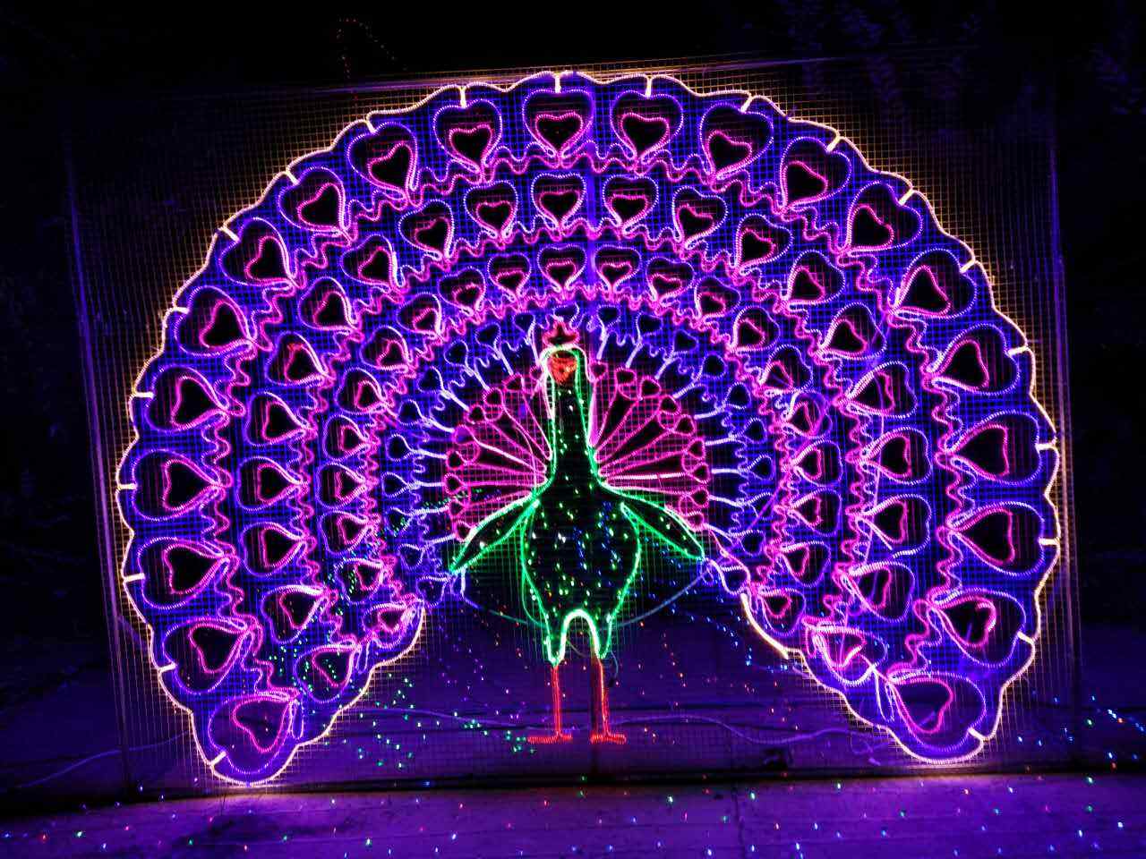 夢(mèng)幻燈光圖片/夢(mèng)幻燈光樣板圖 (2)