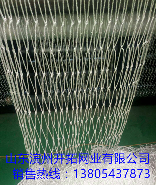 山東安全網(wǎng)，防墜兜網(wǎng)，安全平網(wǎng)圖片