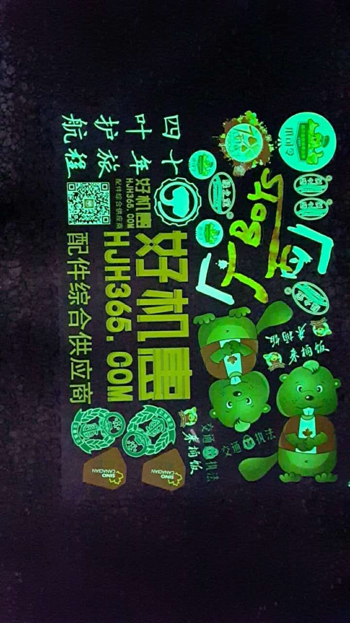 浙江服裝燙畫圖片/浙江服裝燙畫樣板圖 (4)