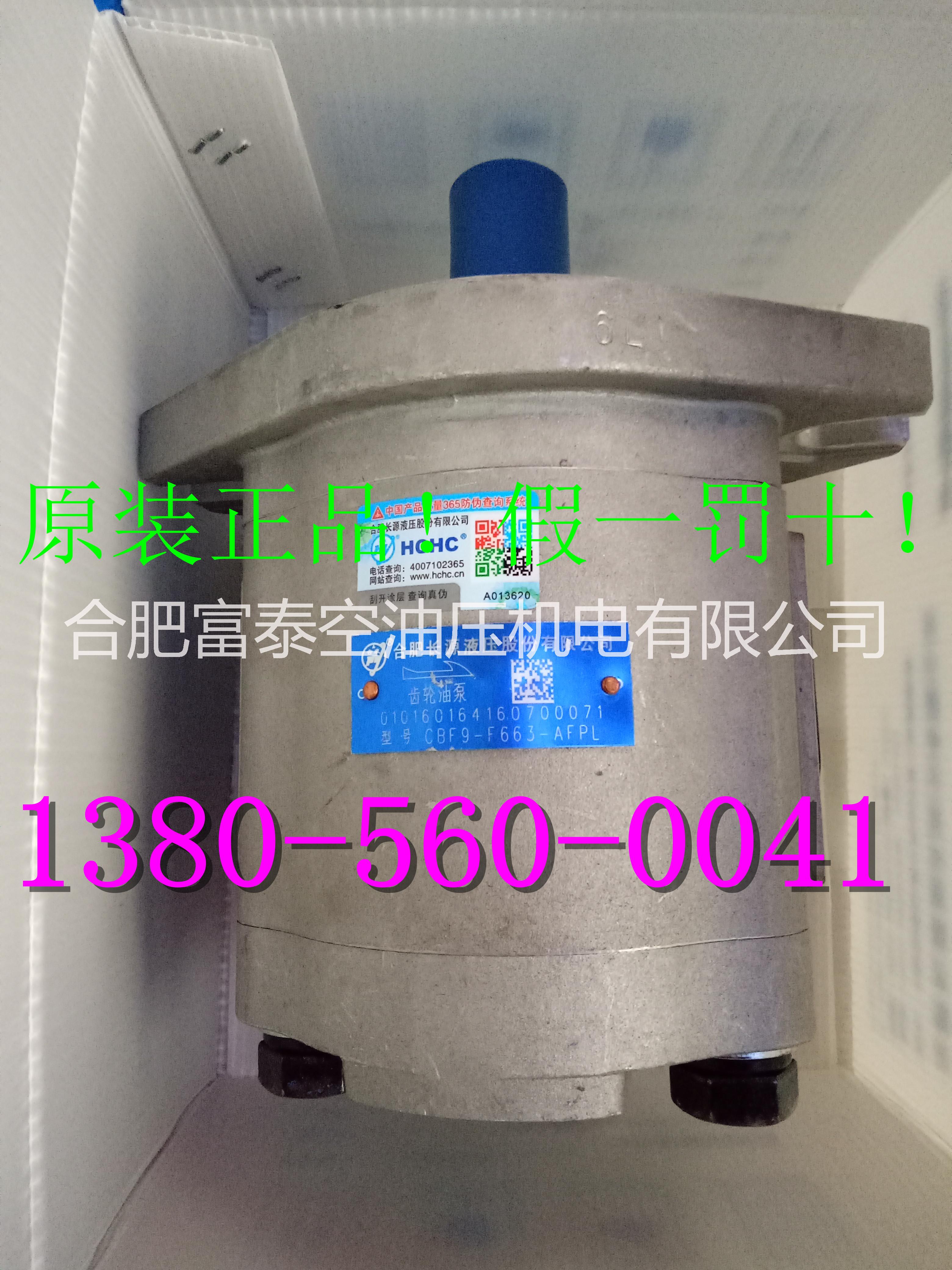 合肥長源液壓齒輪泵圖片