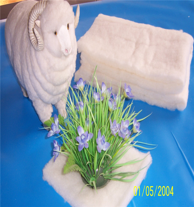 羊毛絨圖片/羊毛絨樣板圖 (3)