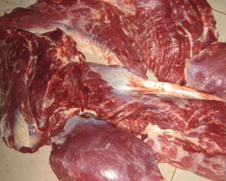 冷凍鹿腱肉 鹿腿 去骨鹿肉批發(fā)廠圖片