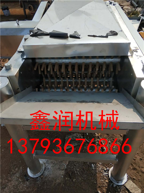 不銹鋼鴿子脫毛機(jī)圖片/不銹鋼鴿子脫毛機(jī)樣板圖 (2)